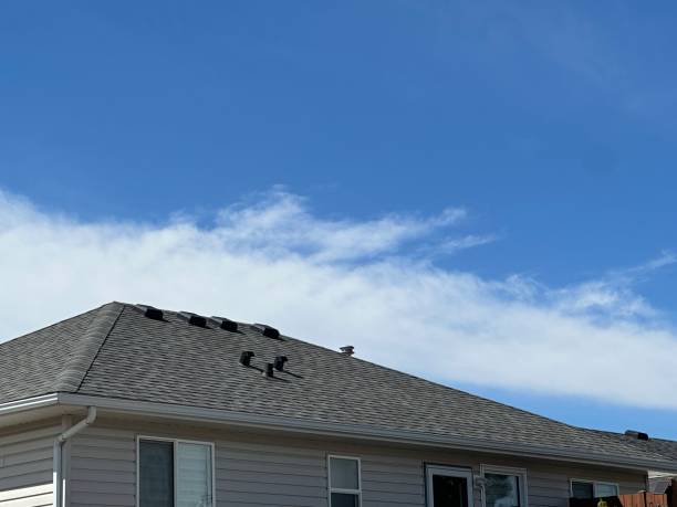 Trusted Bastrop, TX Roofing Service Experts